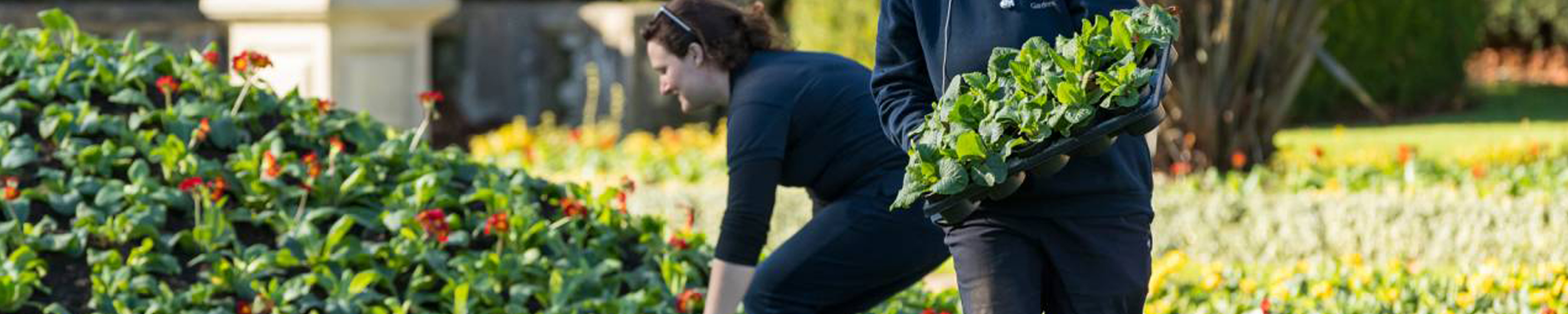 I am a landscaper | Terracottem