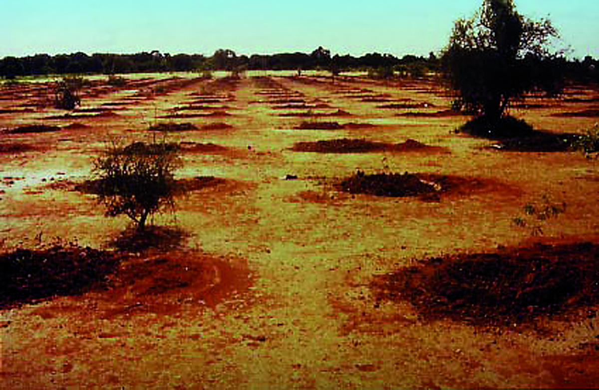 The Terracottem Principle Terracottem