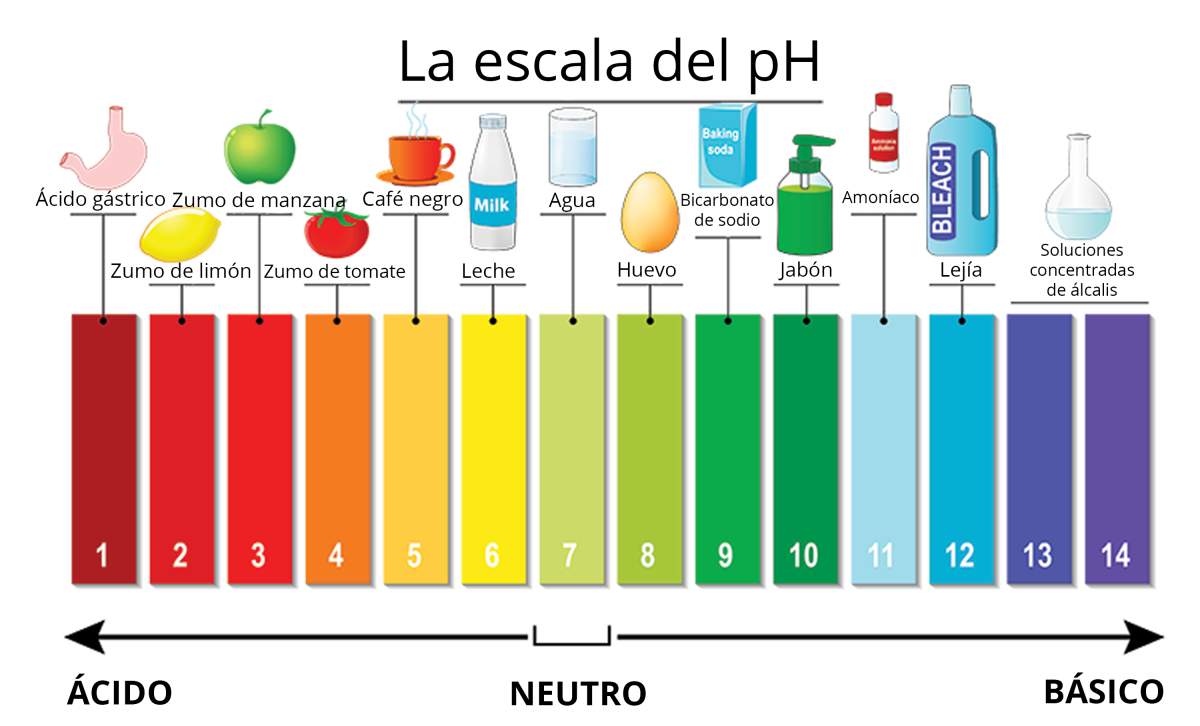 El suelo y sus acrónimos Terracottem El suelo y sus acrónimos Terracottem