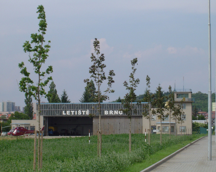 Výsadba stromů obchvat letiště Brno
