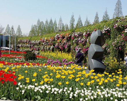 TerraCottem Universal in bloembedden, Goyang International Flower Foundation Expo, Zuid-Korea.