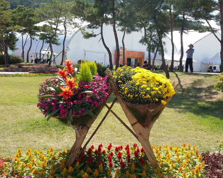 TerraCottem Universal ile çiçek heykeller, Goesan Uluslararası Organik Fuarı, Güney Kore.