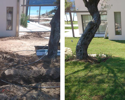 TerraCottem Turf en la Isla de Diaporos, Grecia.