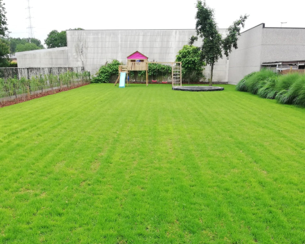 Photos