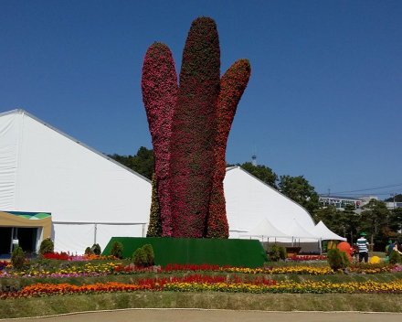 TerraCottem Universal ile çiçek heykelleri, Goesan Uluslararası Organik Fuarı, Güney Kore.