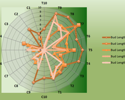 Bud length and retention of the first five apical buds of TerraCottem Universal® treated (T1-T10) and control (C1-C10) trees.