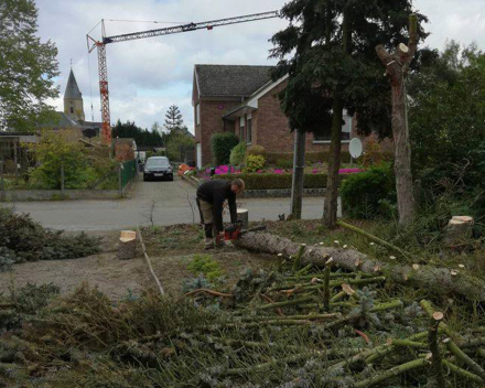 Project in de kijker: De tuinen van Peter Saeys