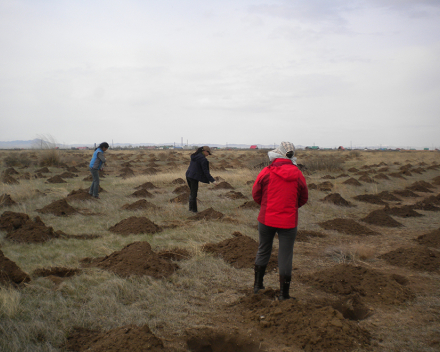 TerraCottem Universal application at the Green Asia Mongolia desertification prevention project.