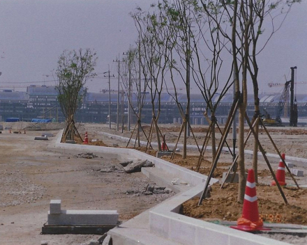 Tree planting with TerraCottem Universal, Incheon International Airport, South Korea.