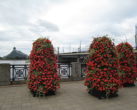 TerraCottem Universal in flower towers, Riga, Latvia.