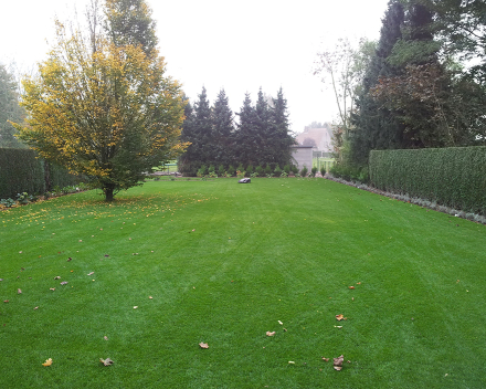 TerraCottem Turf dans la zone des racines d’un gazon ensemencé, Zele, Belgique.