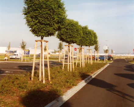 Výsadba stromů u Makro Plzeň