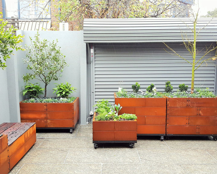 TerraCottem Universal in containers in a residential inner city court yard, Australia.