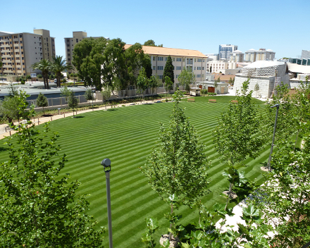 TerraCottem Turf in de toplaag bij de plaatsing van graszoden in Commonwealth Park, Gibraltar.