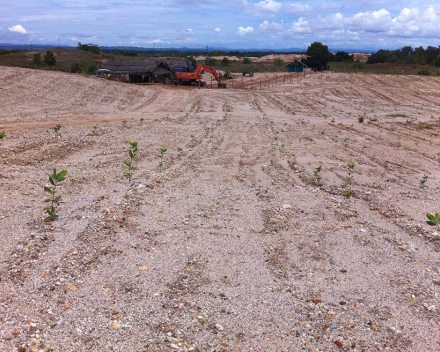 Recuperación medioambiental con TerraCottem Universal de un terreno minero degradado, Caucasia, Colombia.