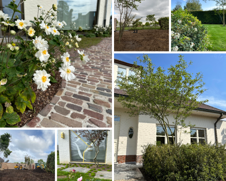 Photos4