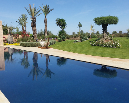 TerraCottem zvyšuje vodní a živnou kapacitu půdy, Marrakech, Maroko.