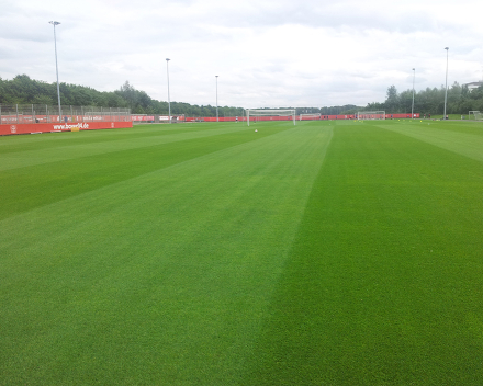 TerraCottem Turf application at Bayer Leverkusen, Germany - training grounds (1 year after application).