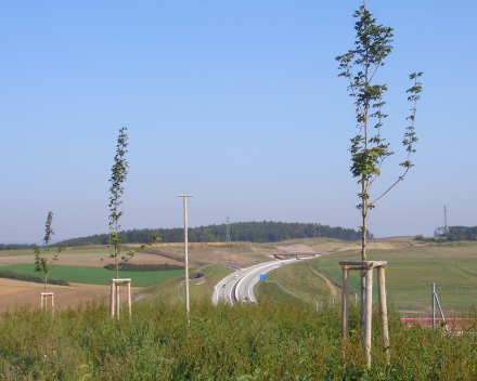 Plantación de árboles con TerraCottem Universal, Wurzburg, Alemania.