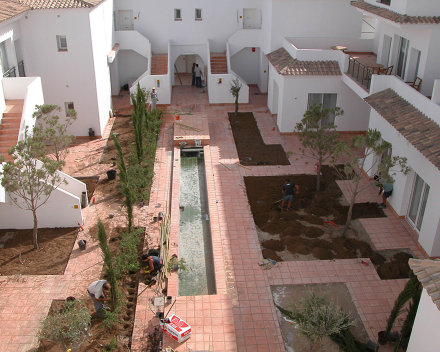 TerraCottem Universal in roof gardens, Benalup, Spain.