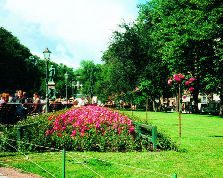 TerraCottem Universal u cvetnim lejama, Esplanadi Park, Helsinki.