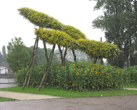 TerraCottem Universal in flower sculptures, Bruges, Belgium.