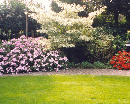 TerraCottem Universal en parterre de fleurs, Bocholt, Allemagne.