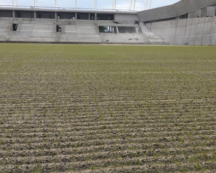 TerraCottem Turf na stadionu Hidegkuti Nándor, Budapest, Maďarsko.