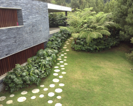 Plantación de árboles con TerraCottem Universal, Medellín, Colombia.