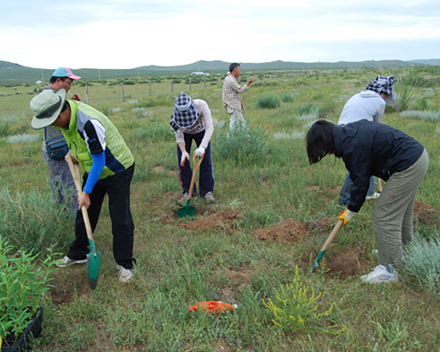 Environmental reforestation with TerraCottem Universal, Mongolia.