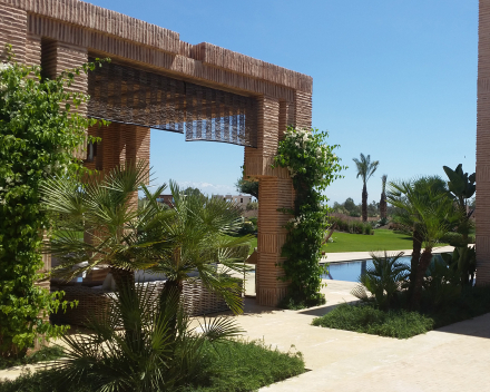 Plantación de árboles y arbustos con TerraCottem Universal, Marrakech, Marruecos.