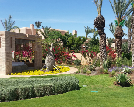 Boomaanplanting met TerraCottem Universal, Marrakech, Marokko.