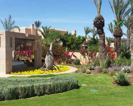 Plantación de árboles y arbustos con TerraCottem Universal, Marrakech, Marruecos.