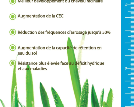 TerraCottem - Des résultats visibles sur le gazon et que vous pouvez mesurer.