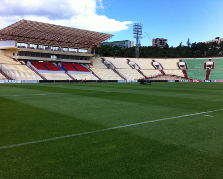 TerraCottem Turf at Mikheil Meskhi Stadion - Lokomotivi Tbilisi, Georgia.