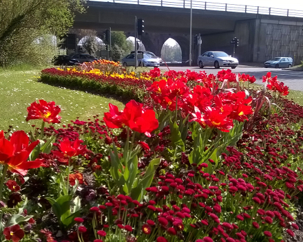 TerraCottem Universal in bloembedden, Fareham Borough Council, Engeland.