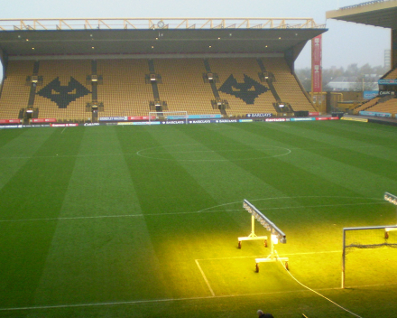 TerraCottem Turf at Molineux Stadion - Wolverhampton Wanderers FC, England.