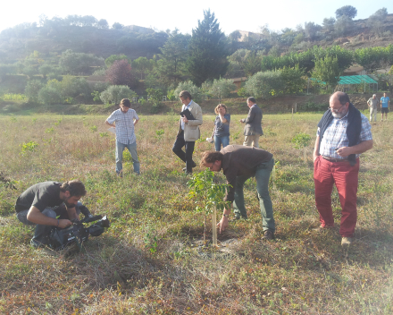 Project partners visiting the field trials accompanied by local news channel.