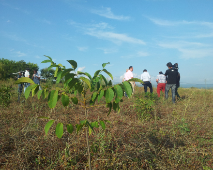 Project partners visiting the field trials accompanied by local news channel.