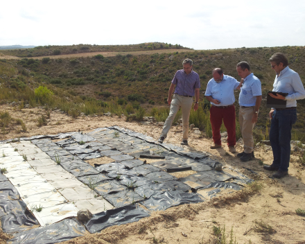 Project partners visiting the biodegradation trials.