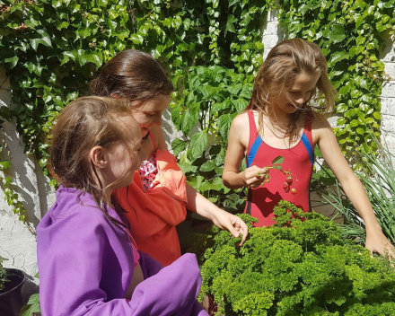 De 2de plaats is voor Lena Ottevaere uit België, die samen met enkele vriendinnetjes een TerraCottem fruit-, groenten- & kruidentuintje aanplantte.