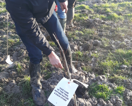 Boomaanplanting voor de Warmste Week