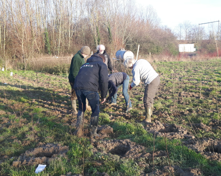 Boomaanplanting voor de Warmste Week