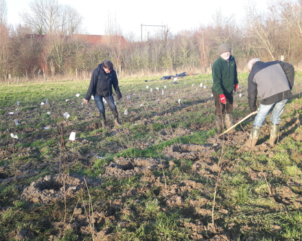 Boomaanplanting voor de Warmste Week