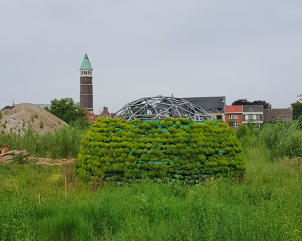 Een BIJzondere creatie - 1 jaar later