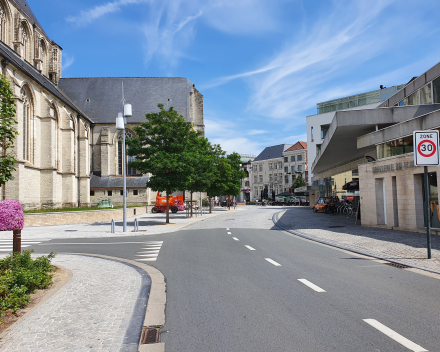 Reconstructing the town square, city of Oudenaarde, Belgium: 3 years after planting, the new trees are greening the city centre