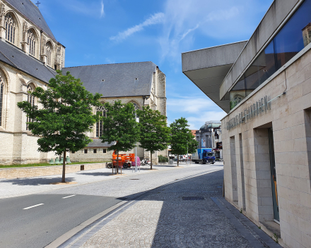 Remodelación de la plaza del mercado de Oudenaarde, Bélgica: 3 años después de la plantación, nuevos árboles reverdecen el centro de la ciudad