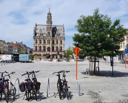 Reconstructing the town square, city of Oudenaarde, Belgium: 3 years after planting, the new trees are greening the city centre