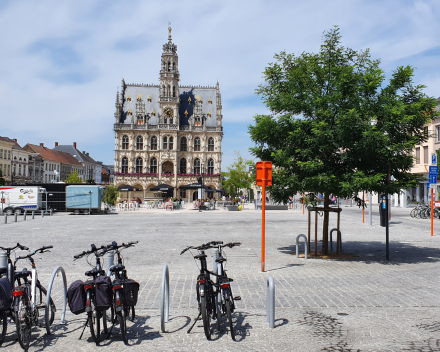 Reconstruction de la place du marché de la ville d'Audenarde, Belgique : 3 ans après la plantation, les nouveaux arbres verdissent le centre-ville