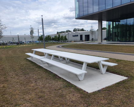 Aanleg parking in grindgazon met TerraCottem Turf